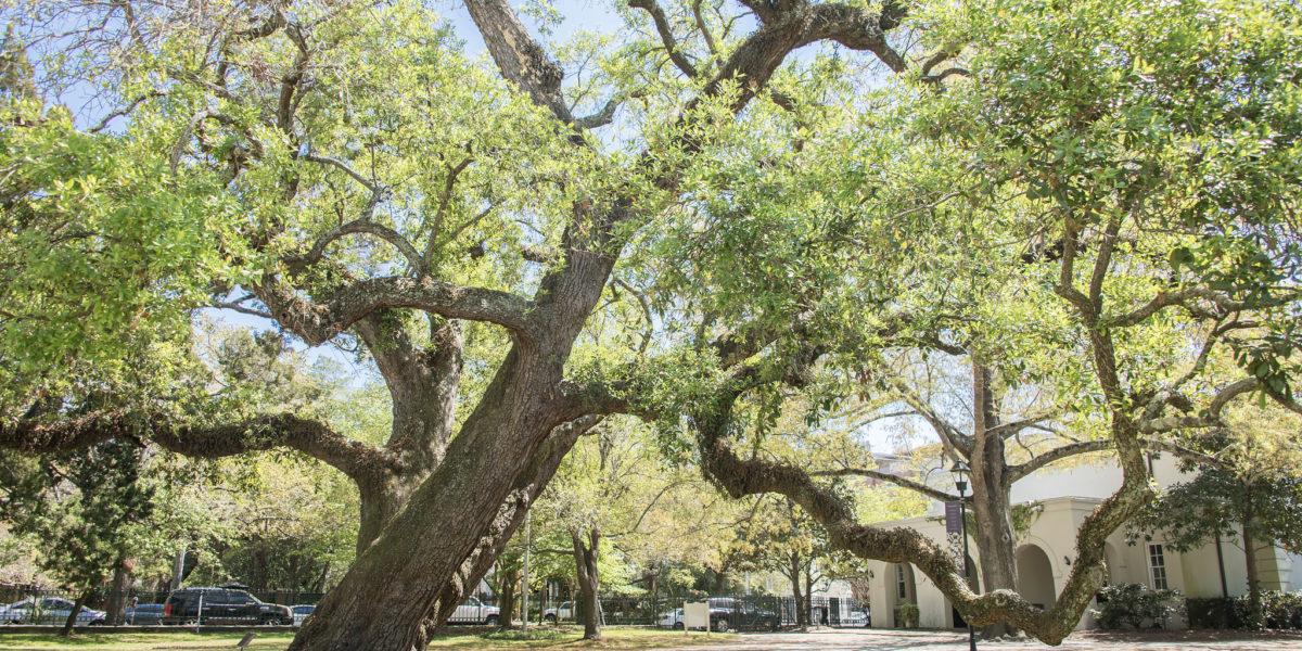 Ashley Hall Campus | Private School in Charleston, SC